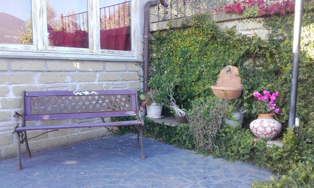 Ferienwohnung Il Poggio Degli Ulivi Trevignano Romano Zimmer foto