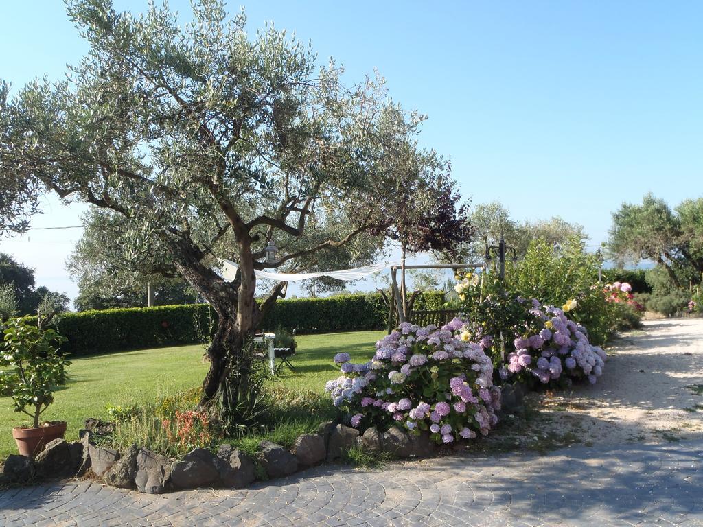 Ferienwohnung Il Poggio Degli Ulivi Trevignano Romano Zimmer foto