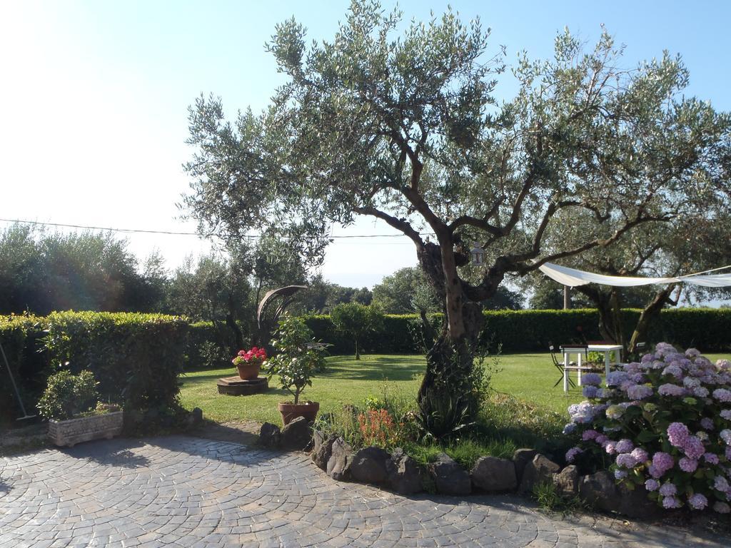 Ferienwohnung Il Poggio Degli Ulivi Trevignano Romano Zimmer foto