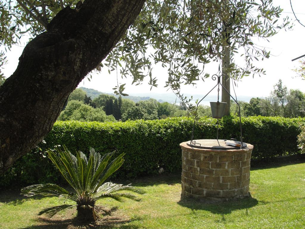 Ferienwohnung Il Poggio Degli Ulivi Trevignano Romano Zimmer foto