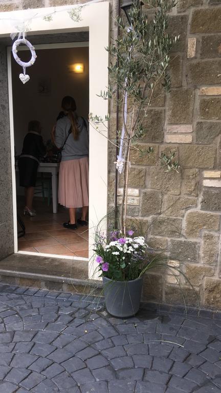 Ferienwohnung Il Poggio Degli Ulivi Trevignano Romano Exterior foto