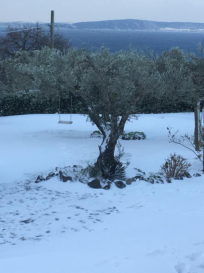 Ferienwohnung Il Poggio Degli Ulivi Trevignano Romano Exterior foto