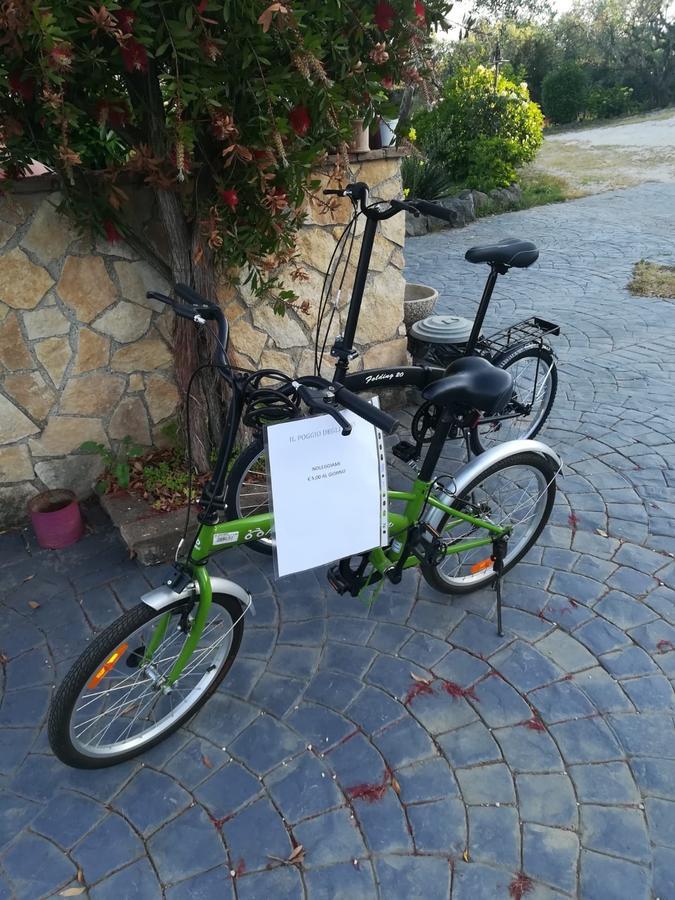 Ferienwohnung Il Poggio Degli Ulivi Trevignano Romano Exterior foto