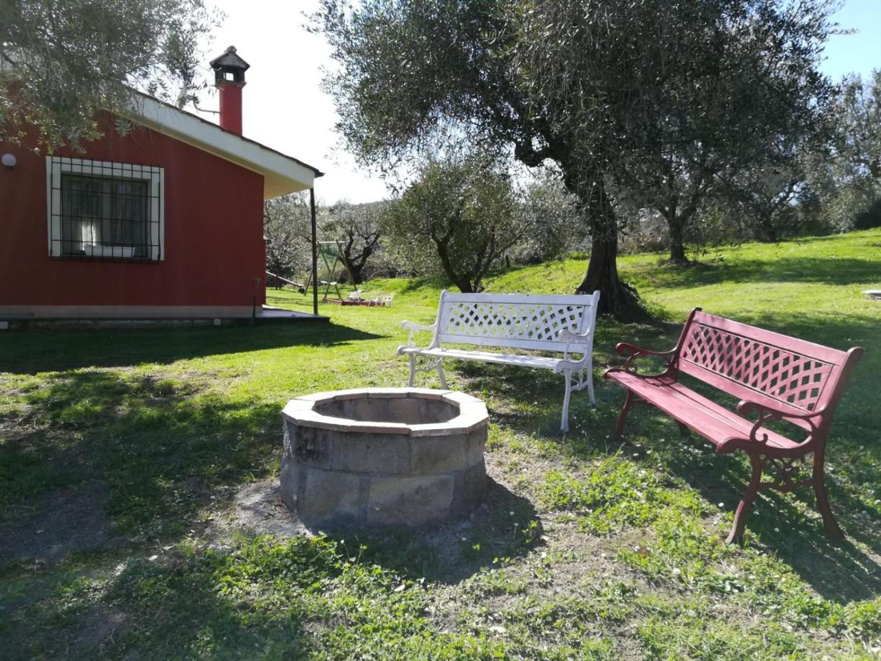 Ferienwohnung Il Poggio Degli Ulivi Trevignano Romano Exterior foto