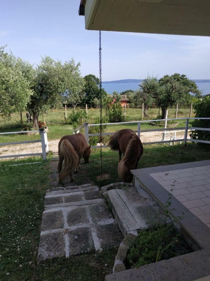 Ferienwohnung Il Poggio Degli Ulivi Trevignano Romano Exterior foto